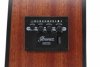 IBANEZ AAD50CE-LG Gitara elektro-akustyczna